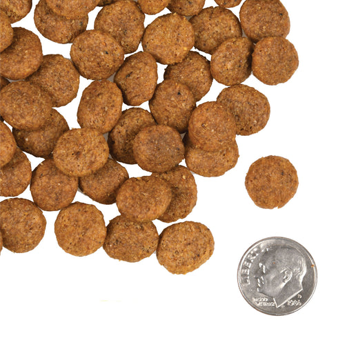 Fromm Gold Coast Weight Management Dry Dog Food Whitefish & Salmon - 26lb Bag